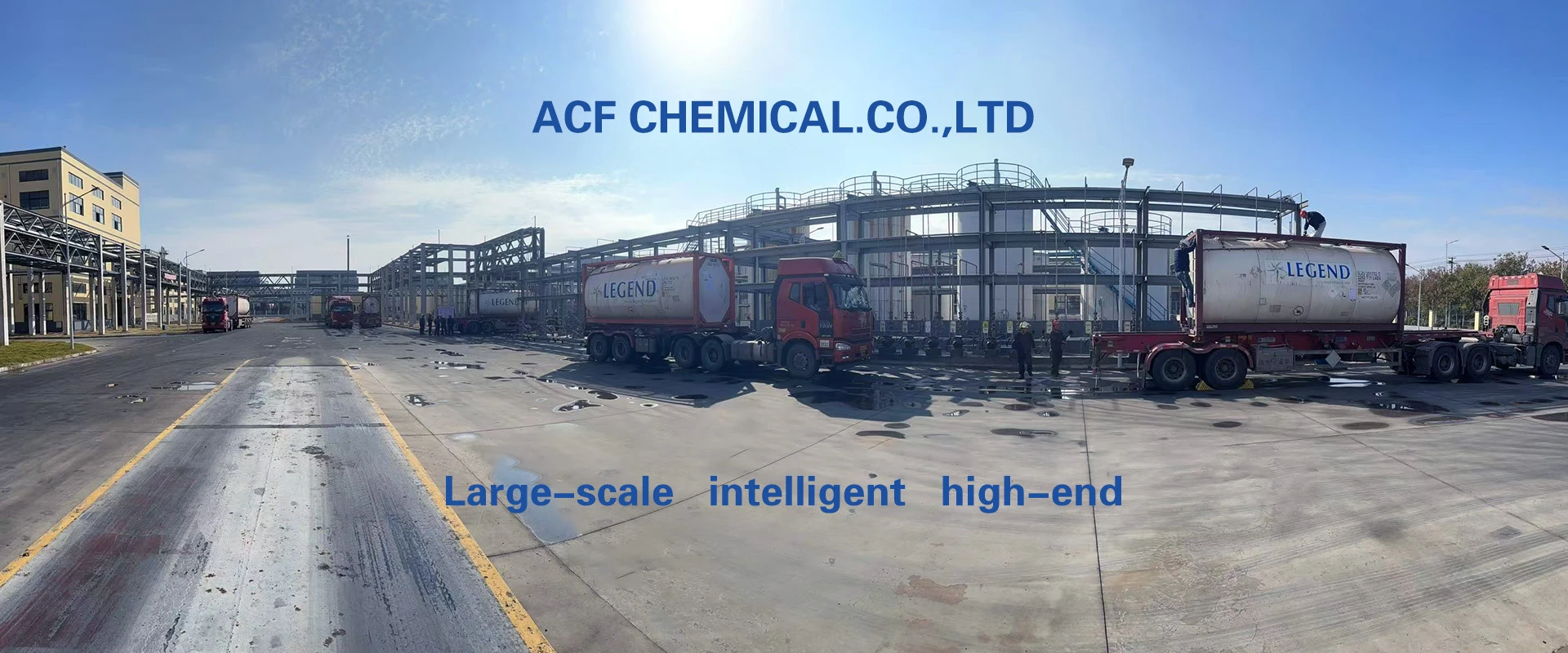 Hydroquinone monomethyl ether | CAS 150-76-5