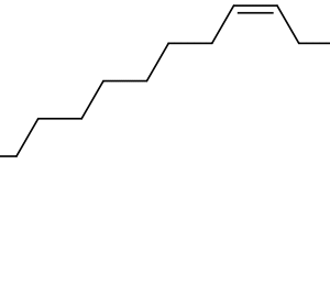(Z)-N-9-octadecenylpropane-1,3-diamine    CAS Number: 7173-62-8